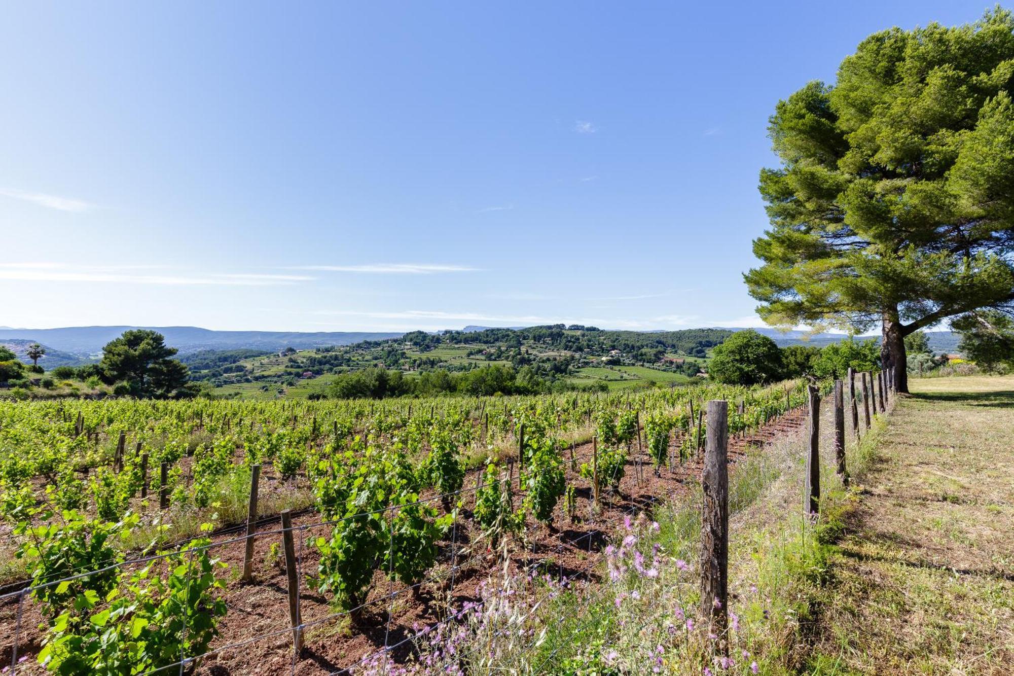 Lodges Park Castellet Provence - Gites Dans Les Vignes Aoc Bandol A 15 Min Des Plages Et Du Circuit Paul Ricard F1 Le Beausset Rom bilde